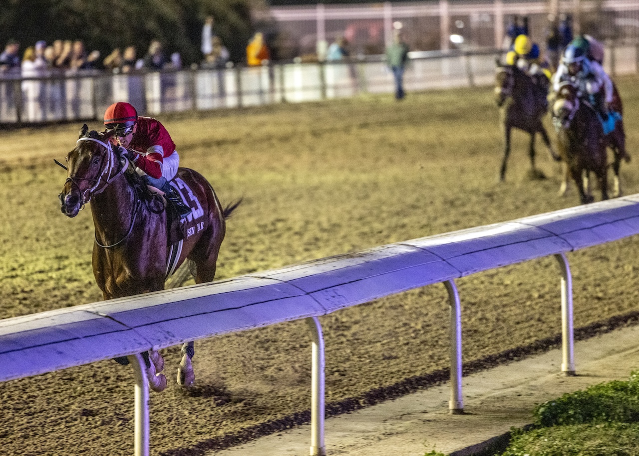 Magnitude wins the Risen Star at Fair Grounds.