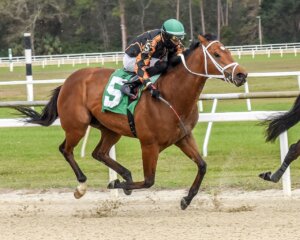 Naughty Rascal wins the Pasco Stakes. 