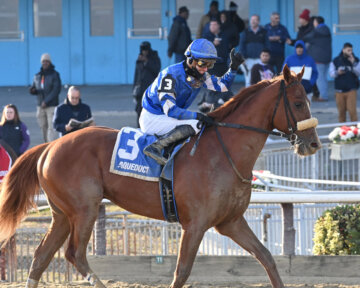 Poster trots past the grandstand after capturing the Remsen