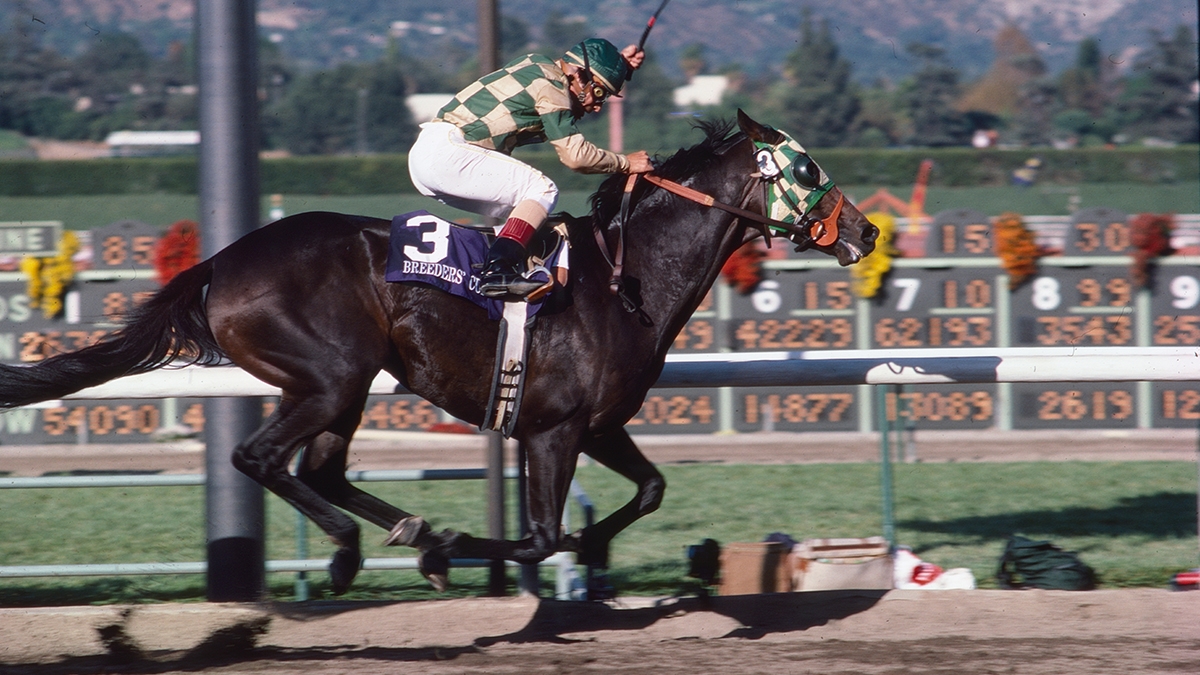 Skywalker wins the 1986 Breeders Cup Classic.