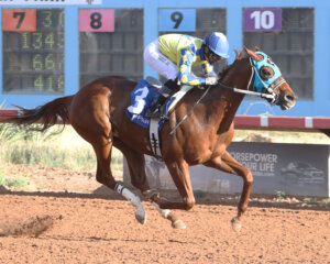 Smash it wins the Zia park Juvenile Stakes at Zia Park. 