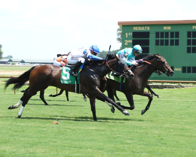 Somethinabouther breaks her maiden on the Ellis Park turf