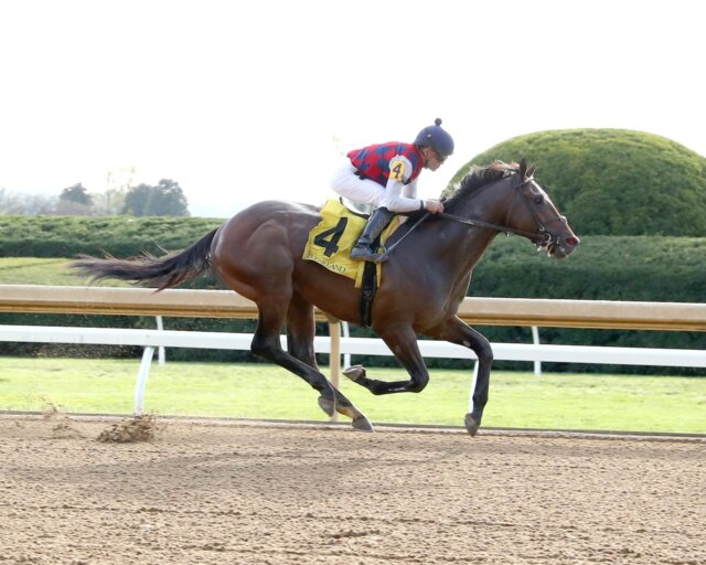 Touchy wins at Keeneland.