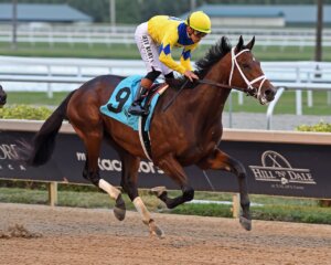 Vassimo wins at Gulfstream Park