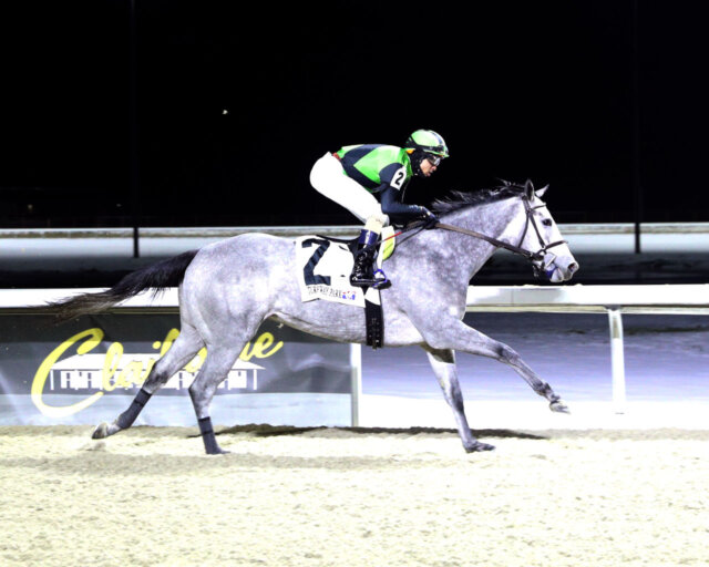 White Rocks shown breaking her maiden at Turfway