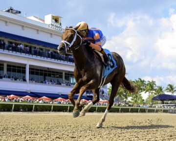 Disruptor breaking his maiden at Gulfstream Park