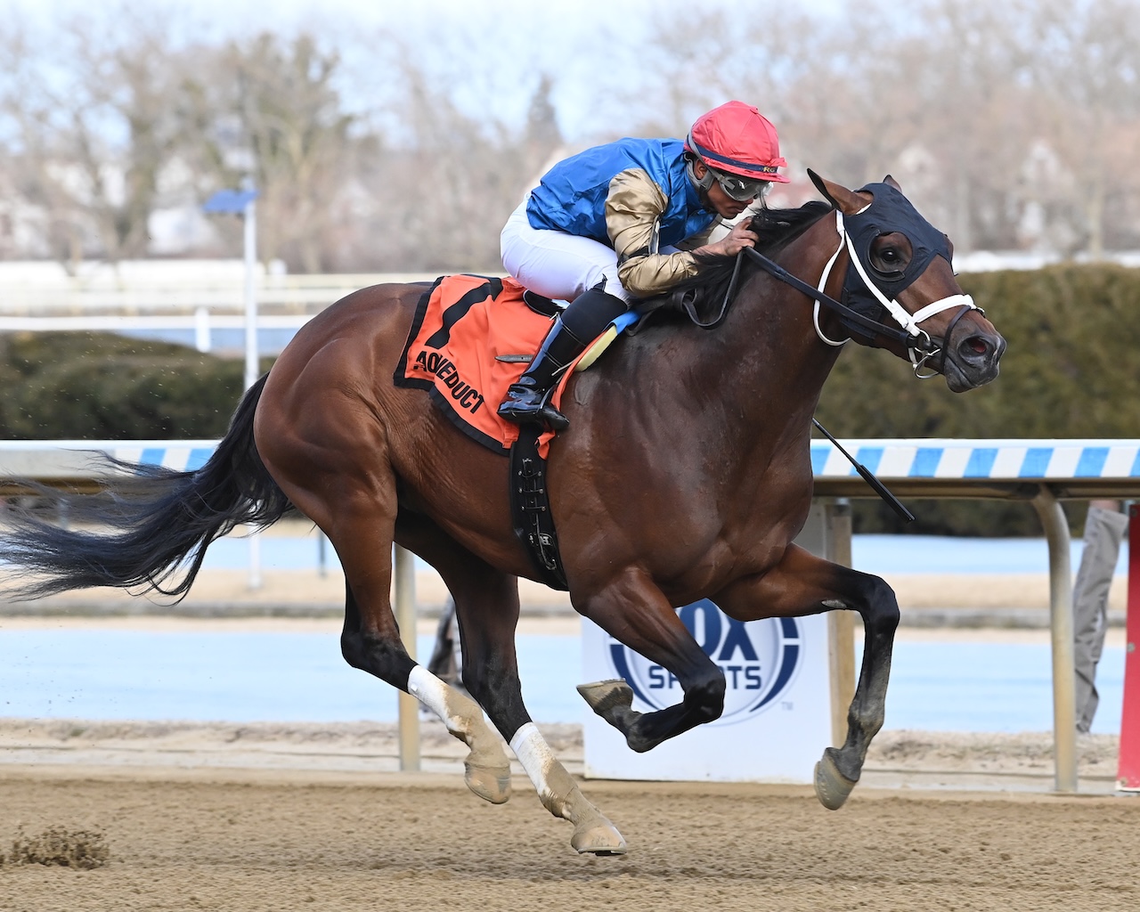 Flood Zone wins the 2025 Gotham Stakes at Aqueduct.