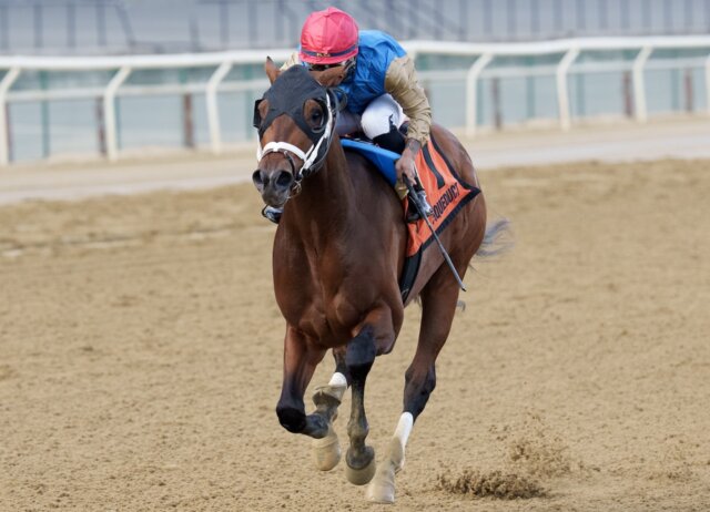 Flood Zone wins the 2025 Gotham Stakes at Aqueduct.