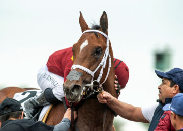 Journalism strikes a pose after the San Felipe