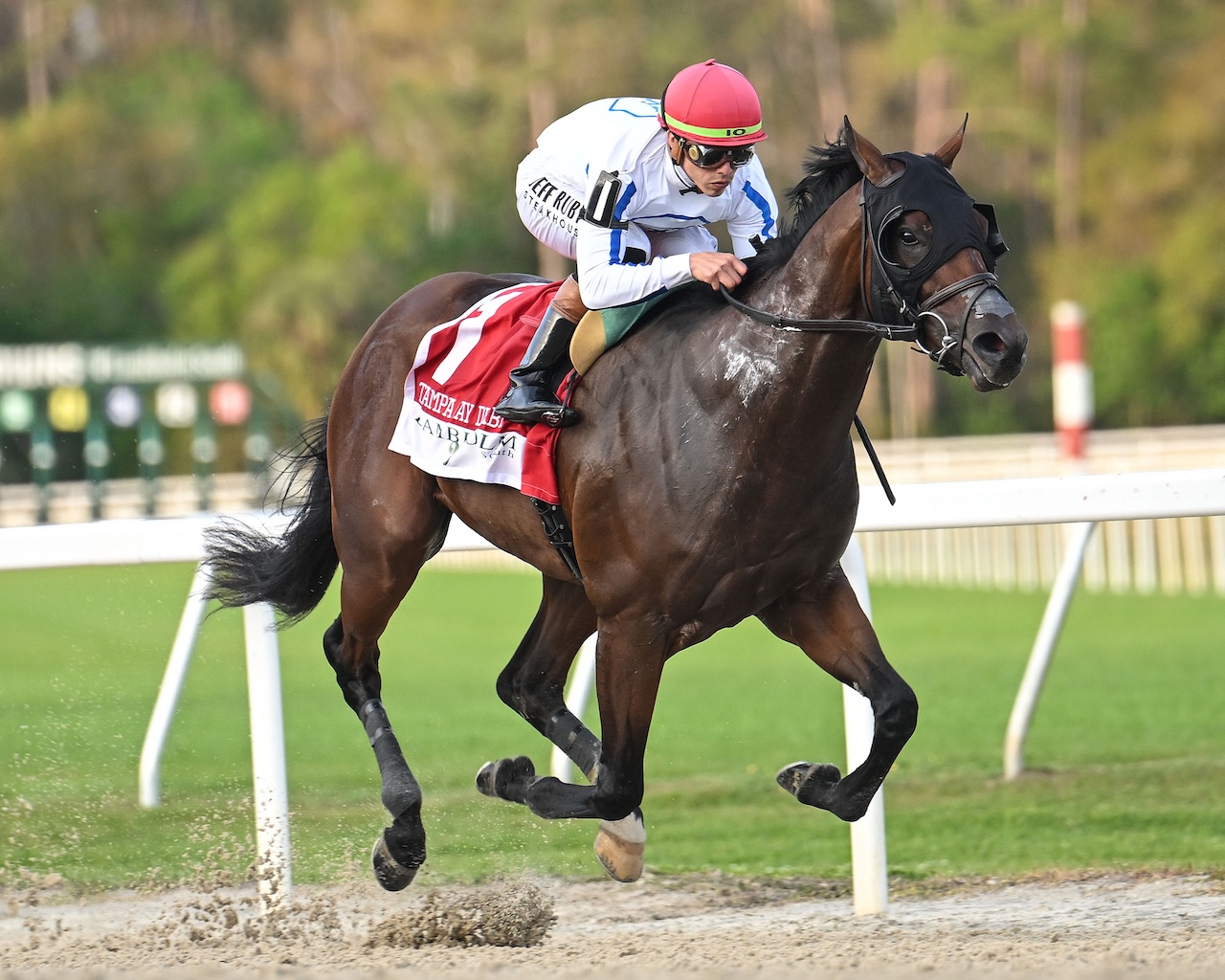 Owen wins the Tampa Bay Derby at Tampa Bay Downs.