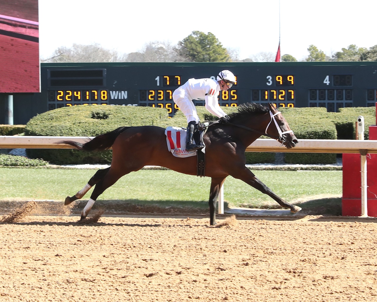 Rapture wins at Oaklawn Park.