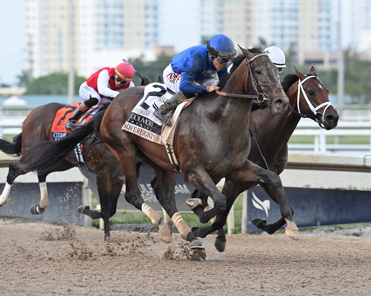 Sovereignty wins the Fountain of Youth at Gulfstream Park.