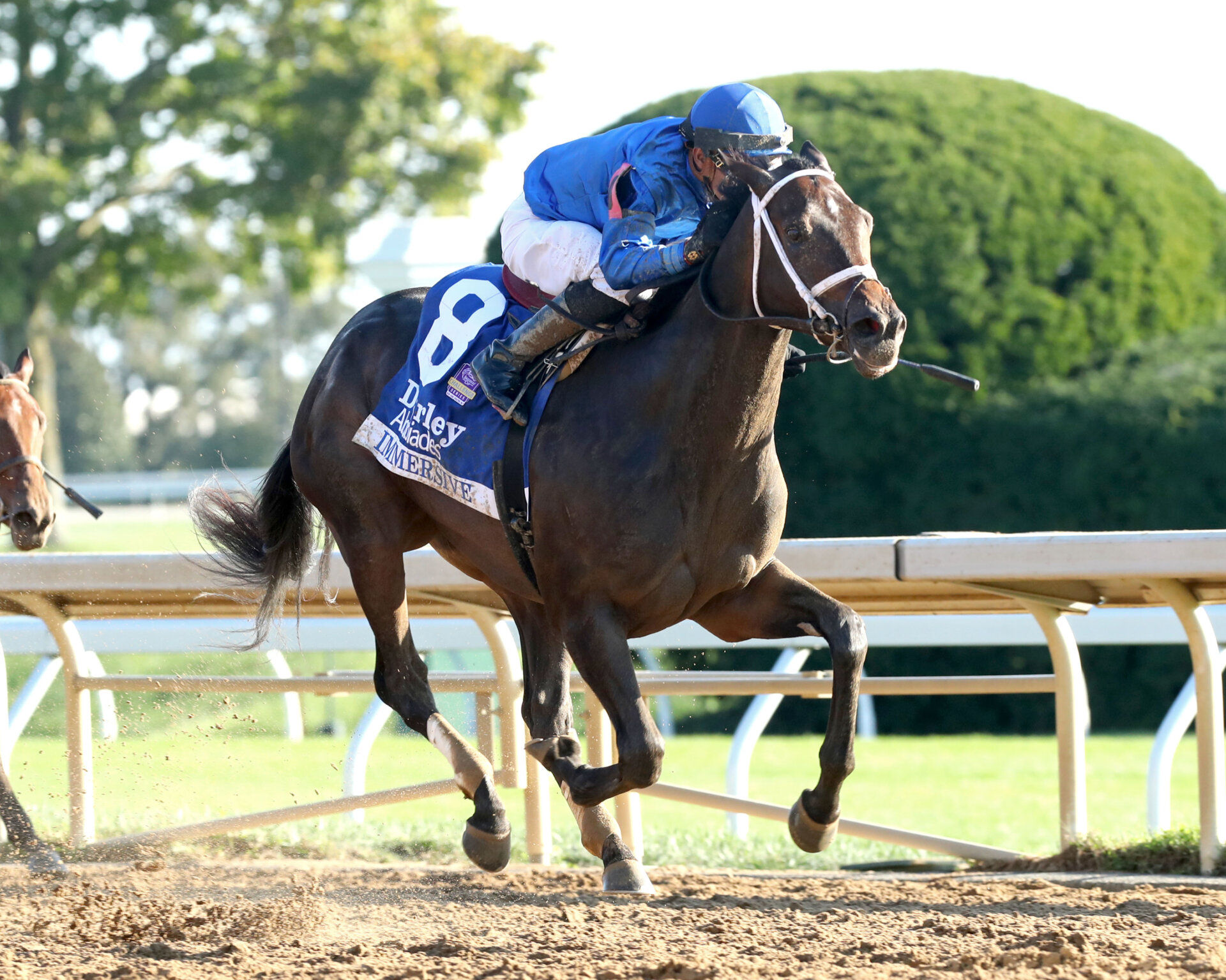 Churchill Downs Update 2YearOld Filly Immersive Returns to Churchill